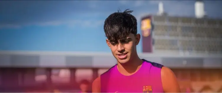 导致他缺席, entit